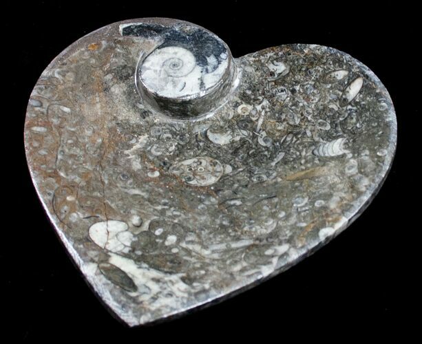 Heart Shaped Fossil Goniatite Dish #8882